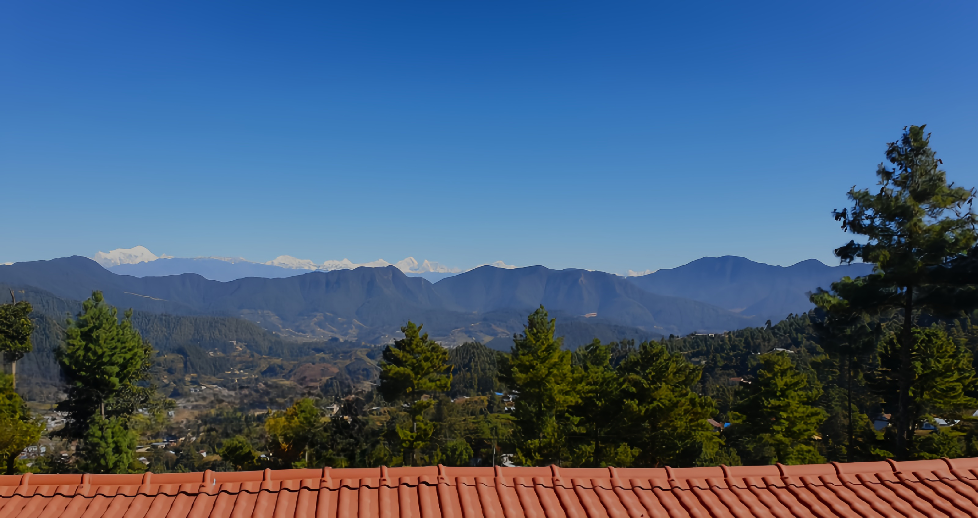 Serene nature escape