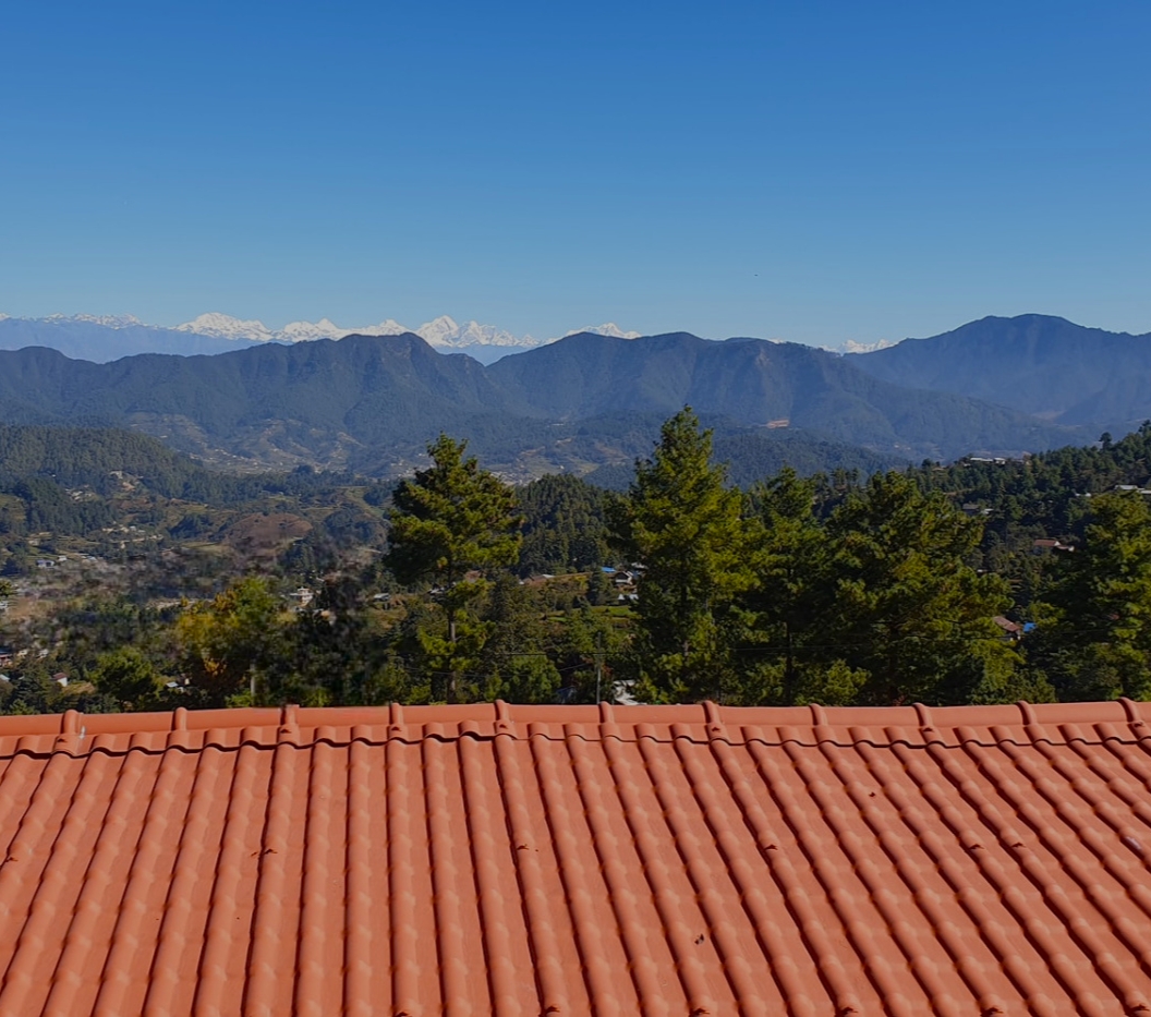 Serene nature escape